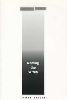 9780804751940-0804751943-Naming the Witch (Cultural Memory in the Present)