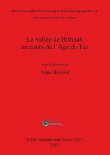 9781407311289-140731128X-La vallee de Bithnah au cours de l'Age du Fer (BAR International) (French Edition)