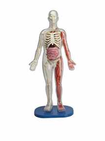 9781932855784-1932855785-SmartLab Toys Squishy Human Body with 21 Removable Body Parts with Anatomy Book