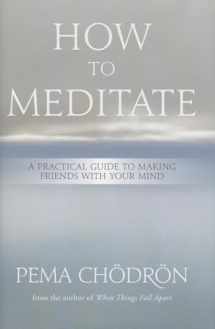 9781604079333-1604079339-How to Meditate: A Practical Guide to Making Friends with Your Mind