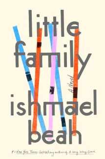 9780735211773-0735211779-Little Family: A Novel