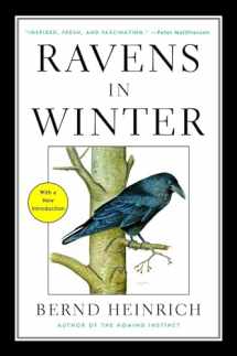 9781476794563-1476794561-Ravens in Winter