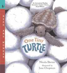 9780763623111-0763623113-One Tiny Turtle: Read and Wonder