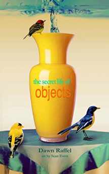 9781937543037-193754303X-The Secret Life of Objects