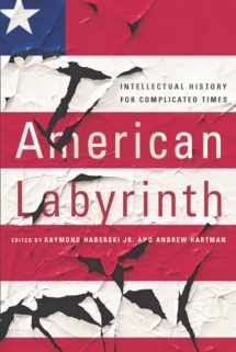 9781501730986-1501730983-American Labyrinth: Intellectual History for Complicated Times