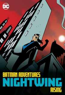 9781779507228-1779507224-Batman Adventures Nightwing Rising
