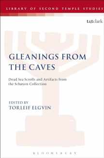 9780567113009-0567113000-Gleanings from the Caves: Dead Sea Scrolls and Artefacts from the Schøyen Collection (The Library of Second Temple Studies, 71)