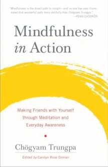 9781611803532-1611803535-Mindfulness in Action: Making Friends with Yourself through Meditation and Everyday Awareness