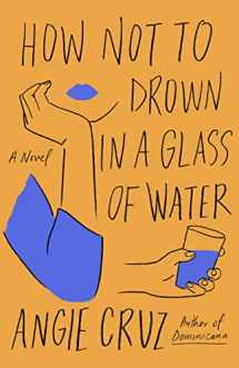 9781250208453-1250208459-How Not to Drown in a Glass of Water: A Novel