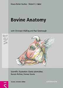 9783899930528-3899930525-Bovine Anatomy (Vet (Schlutersche))
