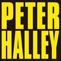 9782930487137-2930487135-Peter Halley: Since 2000