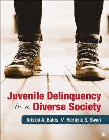 9781412998123-1412998123-Juvenile Delinquency in a Diverse Society