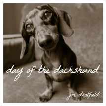 9781493027552-1493027557-Day of the Dachshund