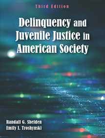 9781478634874-1478634871-Delinquency and Juvenile Justice in American Society, Third Edition