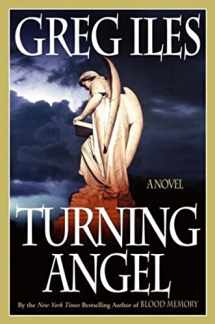 9780743234719-0743234715-Turning Angel: A Novel