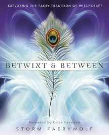 9780738750156-0738750158-Betwixt & Between: Exploring the Faery Tradition of Witchcraft