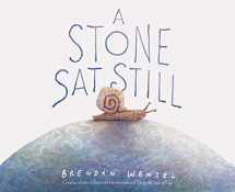 9781452173184-1452173184-A Stone Sat Still: (Environmental and Nature Picture Book for Kids, Perspective Book for Preschool and Kindergarten, Award Winning Illustrator) (Brendan Wenzel)