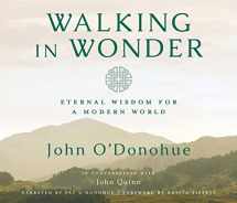 9781683642879-1683642872-Walking in Wonder: Eternal Wisdom for a Modern World.