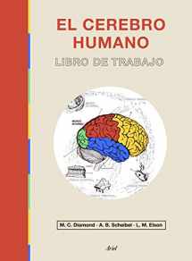 9788434433601-8434433605-El cerebro humano: Libro de trabajo