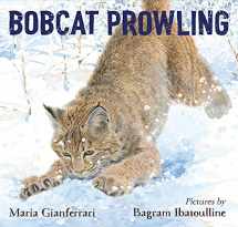 9781626727861-1626727864-Bobcat Prowling