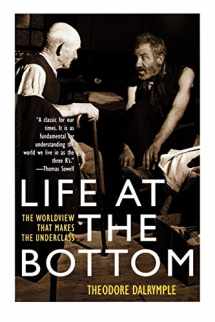 9781566635059-1566635055-Life at the Bottom: The Worldview That Makes the Underclass