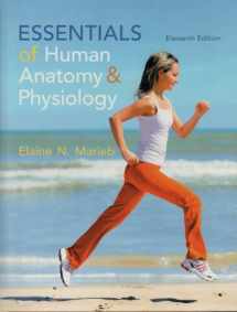 9780133481662-0133481662-Essentials of Human Anatomy & Physiology