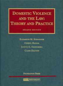 9781599410289-1599410281-Domestic Violence and the Law: Theory and Practice (University Casebook)