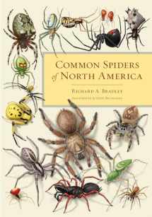 9780520274884-0520274881-Common Spiders of North America