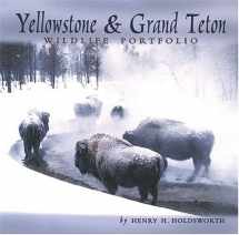 9781560371779-1560371773-Yellowstone & Grand Teton Wildlife Portfolio