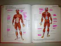 9780471691235-0471691232-Introduction to the Human Body: The Essentials of Anatomy and Physiology
