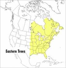 9780395904558-0395904552-A Peterson Field Guide To Eastern Trees: Eastern United States and Canada, Including the Midwest (Peterson Field Guides)