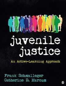 9781544300405-1544300409-Juvenile Justice: An Active-Learning Approach