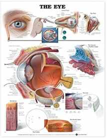 9781587791277-1587791277-The Eye Anatomical Chart