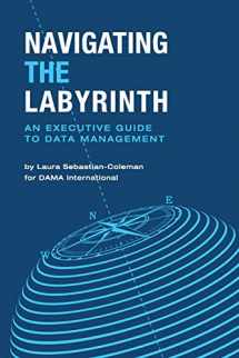 9781634623759-1634623754-Navigating the Labyrinth: An Executive Guide to Data Management