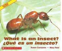 9780439562393-0439562392-What is an Insect? / Que es un insecto? - Bilingual Book