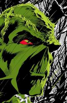 9781779517302-1779517300-Absolute Swamp Thing