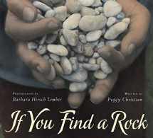 9780152063542-0152063544-If You Find a Rock