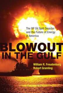 9780262517294-0262517299-Blowout in the Gulf: The BP Oil Spill Disaster and the Future of Energy in America
