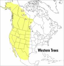 9780395904541-0395904544-A Peterson Field Guide To Western Trees: Western United States and Canada (Peterson Field Guides)