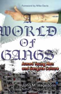 9780816650675-0816650675-A World of Gangs: Armed Young Men and Gangsta Culture (Volume 14) (Globalization and Community)