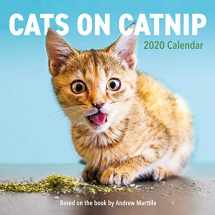 9781523507450-1523507454-Cats on Catnip Wall Calendar 2020
