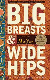 9781611453430-1611453437-Big Breasts and Wide Hips: A Novel (Arcade Classics)