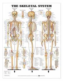 9781587799822-1587799820-The Skeletal System Giant Chart