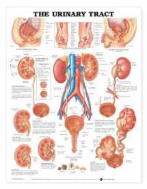 9781587790720-1587790726-ACC The Urinary Tract Anatomical Chart