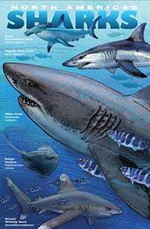 9780982835685-098283568X-SHARKS & RAYS of North America NATURE UNFOLDING#10