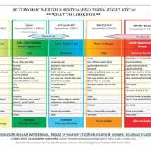 9780393712803-039371280X-Autonomic Nervous System Table: Laminated Card
