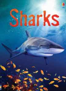 9780794515812-0794515819-Sharks (Usborne Beginners)