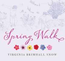 9781423653936-1423653939-Spring Walk, paperback