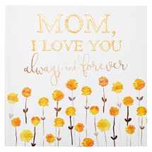 9781432118112-1432118110-Mom, I Love You Always and Forever - Gift Book