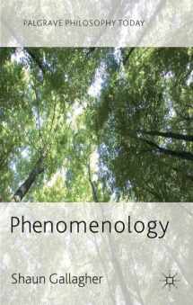9780230272491-0230272495-Phenomenology (Palgrave Philosophy Today)